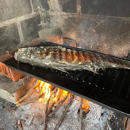 Appartamento Dorade Kožino